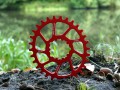 SDM0 o30t RED.jpg